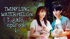 TWINKLING WATERMELON EPISODE 15 TAGALOG