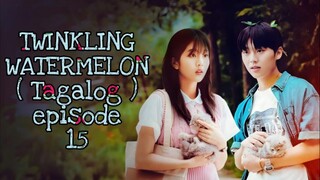 TWINKLING WATERMELON EPISODE 15 TAGALOG