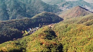 No Way Home Ep 03 Sub Indo