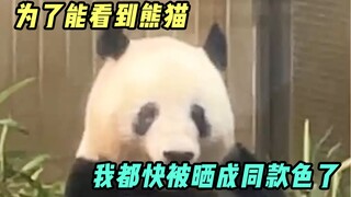 为参加个生日party排30分钟队，快来和我一起吸熊猫