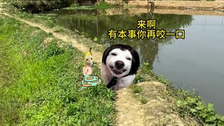 งูห้าขีด: มีใครจะพูดแทนฉันบ้างไหม?