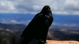 اتضح أن ثقافة أجدادنا الأقدمين لطالما أسيء فهمنا لها