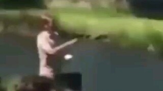 WTF