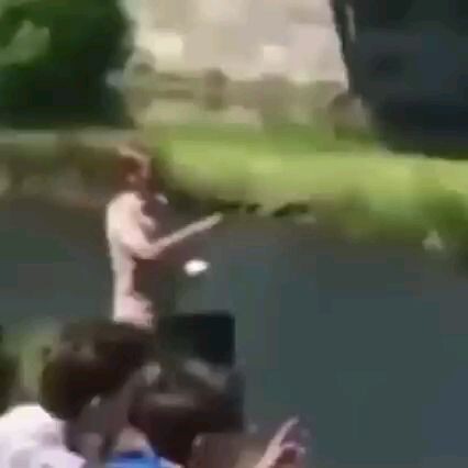 WTF