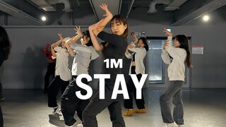 BLACKPINK - STAY / Learner's Class