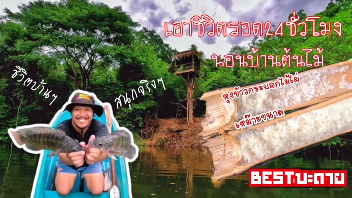 เอาชีวิตรอด24ชั่วโมงในไร่ในสวน/นอน บ้านต้นไม้/ชีวิตบ้านสนุกจริงๆ