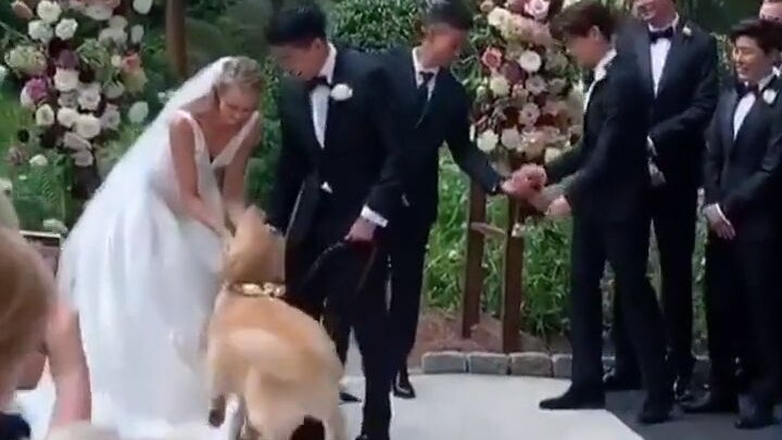 修勾：今天我妈妈爸爸结婚，我给他们送来戒指～