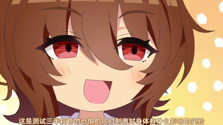 速子天天研究啥呢