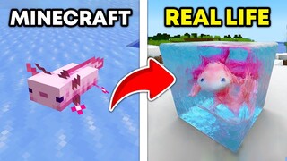 Minecraft vs Realistic minecraft in Real life 1 (cat, axolotl, grass block)