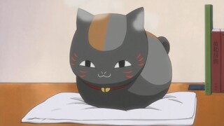 温柔的狸追大人 VS 暴躁家猪！