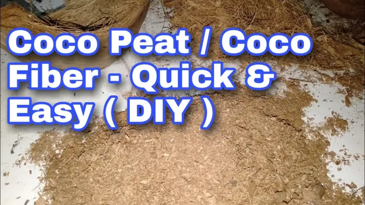 Coco Peat / Coco Fiber - Extracting Quick & Easy ( DIY )