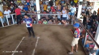 Nadapa pa ang manok pag bitaw Panalo pa