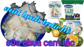 sữa chua cam tắc ( món ăn ngon sáng tạo mỗi ngày )