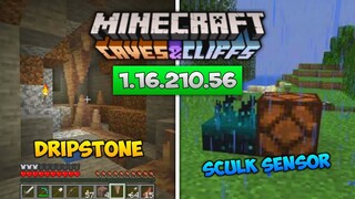 UPDATE! MCPE BETA VERSI TERBARU 1.16.210.56 - ADA DRIPSTONE & SCULK SENSOR