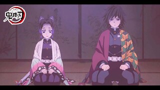 [Remix]Tomioka Giyuu and Kochou Shinobu in <Demon Slayer>