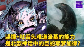 竖瞳+吐舌头，难道洛基的果实能力是北欧神话中的巨蛇耶梦加得？#1828