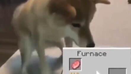 Minecraft: When you're starving