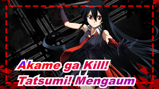 [Akame ga Kill!] Tatsumi! Mengaumlah Dengan Jiwa Membaramu!