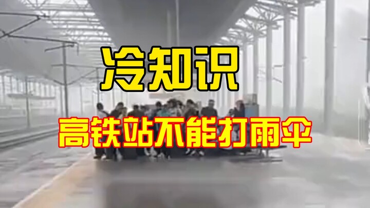 Fakta menarik: Di stasiun kereta cepat, kamu nggak boleh pakai payung saat hujan!