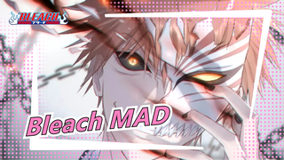 [Bleach] Sudah Lama Tidak Melihatmu, 卍!
