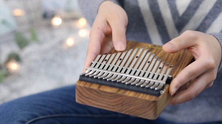 [Thumb Piano] "Call Me by Your Name" Mystery of Love Music Box takes you back to that summer