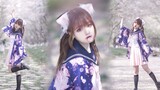 "Kisah Enam Triliun Tahun Satu Malam" jk Gadis Telinga Kucing *Menari di Hujan Bunga Sakura (*≧u≦)【S