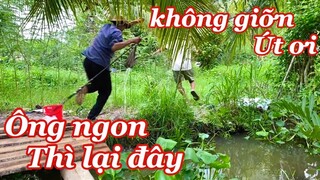 Lẩu Thái Khăn Bàng Lòng Bò Đen Út Lục Bình Câu Được Dưới Mương Đem Tặng Ông 6 Cô Đơn