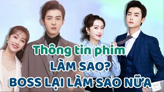 Chuyện tình giữa boss và cô nàng thư ký trong phim LÀM SAO? BOSS LẠI LÀM SAO NỮA