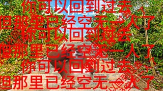 2013“台阶”事件