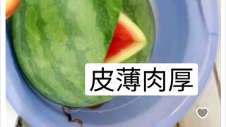老板是真的会挑西瓜🍉