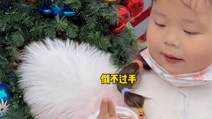 Sepertinya aku sudah bisa membayangkan putriku nanti bakal begitu fanatik mengidolai seorang selebri