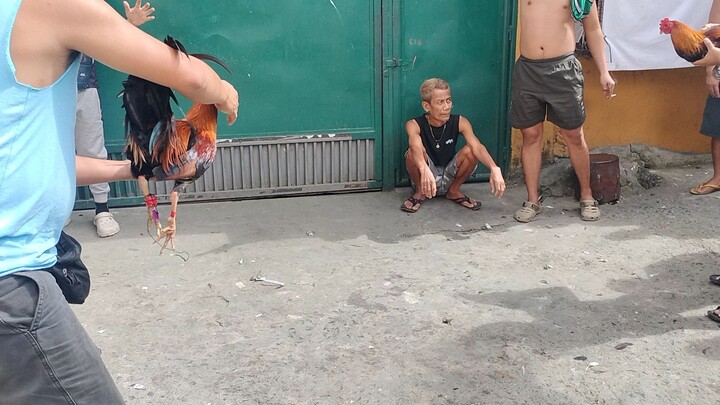 my dayo quality.. naiwan manok nila 🤣🤣🤣