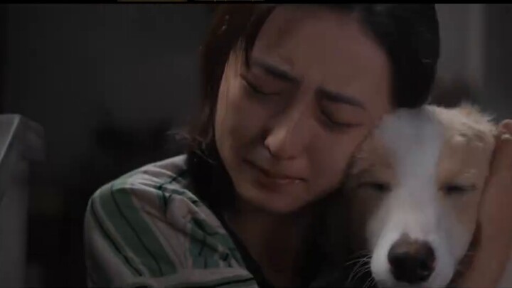 Zhang Zifeng + Wang Jingchun! 2025 dog tear-jerking movie "I'll be fine" trailer, released on March 