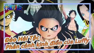 [Đảo Hải Tặc/Kinh điển] Phân cảnh kinh điển của Luffy trong 2 năm sau, mình phấn khích quá