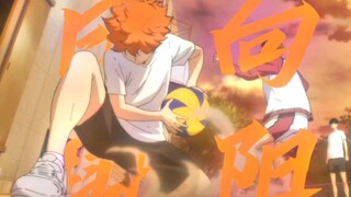 [Volleyball boy] You laugh at Hinata because of her low height, Hinata laughs at you for not having 