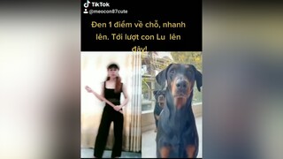 nay em huấn luyện viên luôn rùi bà kon😂🤣🤣chó chócute chó_cưng