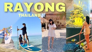 เที่ยวระยอง x ครอบครัว  ทะเล พิพิธภัณฑ์ คาเฟ่