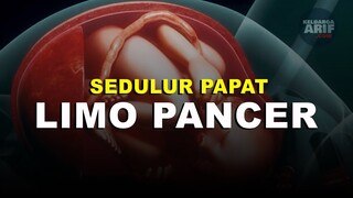 Sedulur Papat Limo Pancer - Tafsir Mantra Kidung Marmati