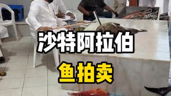 Nơi đây nằm ở Ả Rập Xê Út, các ngư dân địa phương có cách bán cá rất độc đáo.