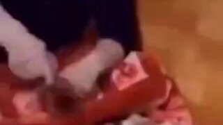 Jika Anda menggunakan kebohongan untuk memverifikasi kebohongan, Anda pasti akan mendapatkan kebohon