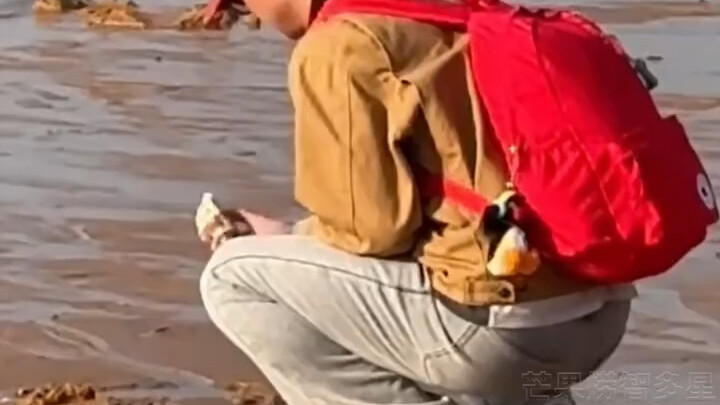 It’s one thing to eat pre-made meals every day, but now even picking up seashells at the beach is pr