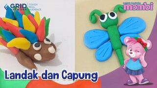Membuat Plastisin - Landak dan Capung