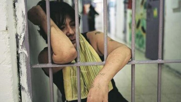 【ملك الرّدّة】يا إلهي، بتسمّي هذا مدرسة؟