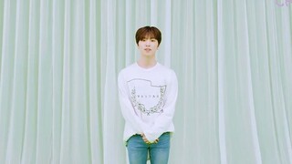 200809 SEVENTEEN 2020克拉岛 Dan-Chant指导 Chapter.1 Dino <学习基本功> 零站
