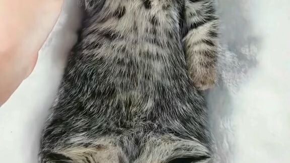 cute 😍🥰