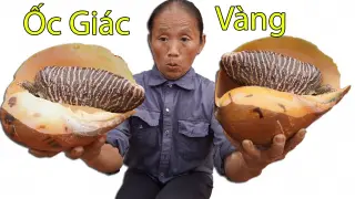 Bà Tân Vlog - Lần Đầu Làm Ốc Giác Vàng Khổng Lồ Nướng Siêu Cay