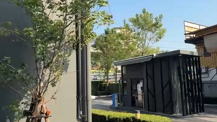 二月二，龙抬头一切都是好兆头愿我们都能提振精神头不负春光、不负自己