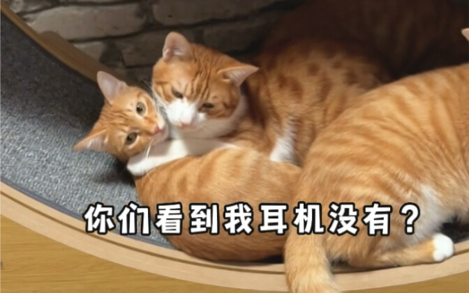 Tôi đã từng có tai nghe.