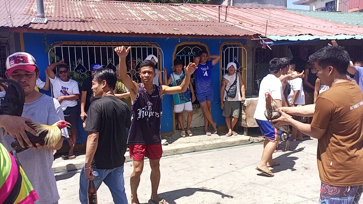 Makati ang may Ari nilaban ulet ang talisay