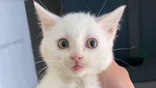 Akhir-akhir ini agak gaduh, anggap saja aku agak gaduh.